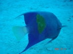 2006 Egyiptom, Hurghada