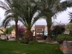 2006 Egyiptom, Hurghada