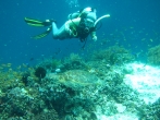 2012 Fülöp szigetek, Bohol-Malapascua