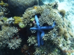 2012 Fülöp szigetek, Bohol-Malapascua
