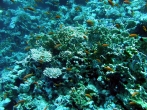 2010 Egyiptom, Sharm El Sheik 